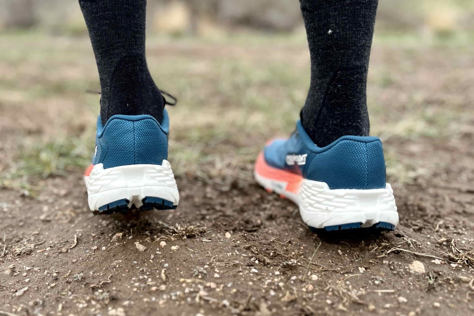 Close up image of a pair of trail running shoes from behind