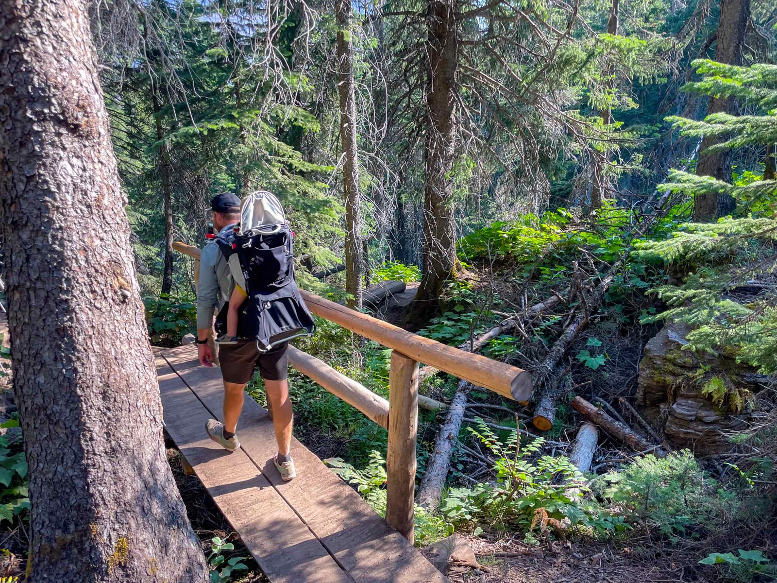 a man walks with his baby in a backpack through woods