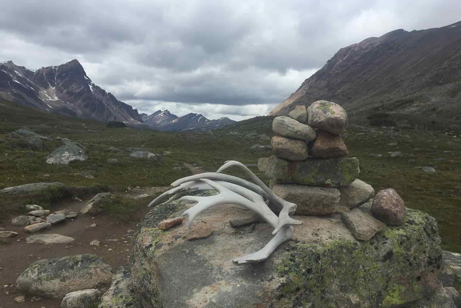 Caribou antlers sit on a rock at a low mountain pass.