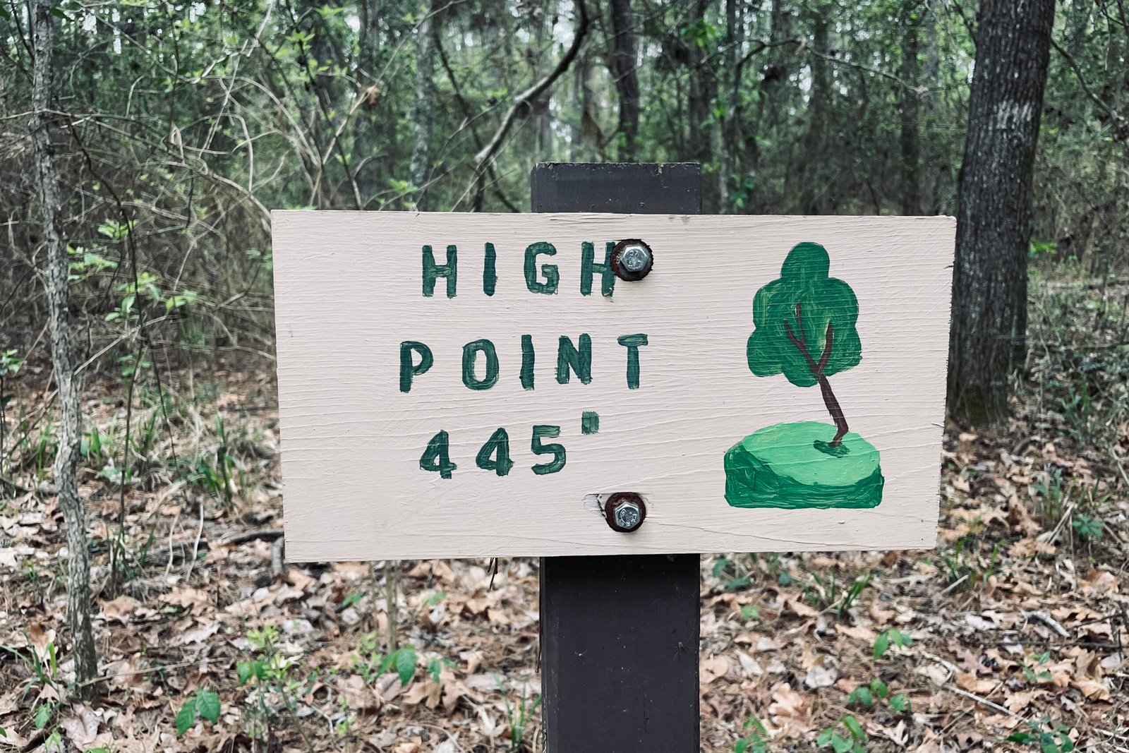 A sign with a small tree painted on it reads "high point 445'" and is attached to a post in the woods.