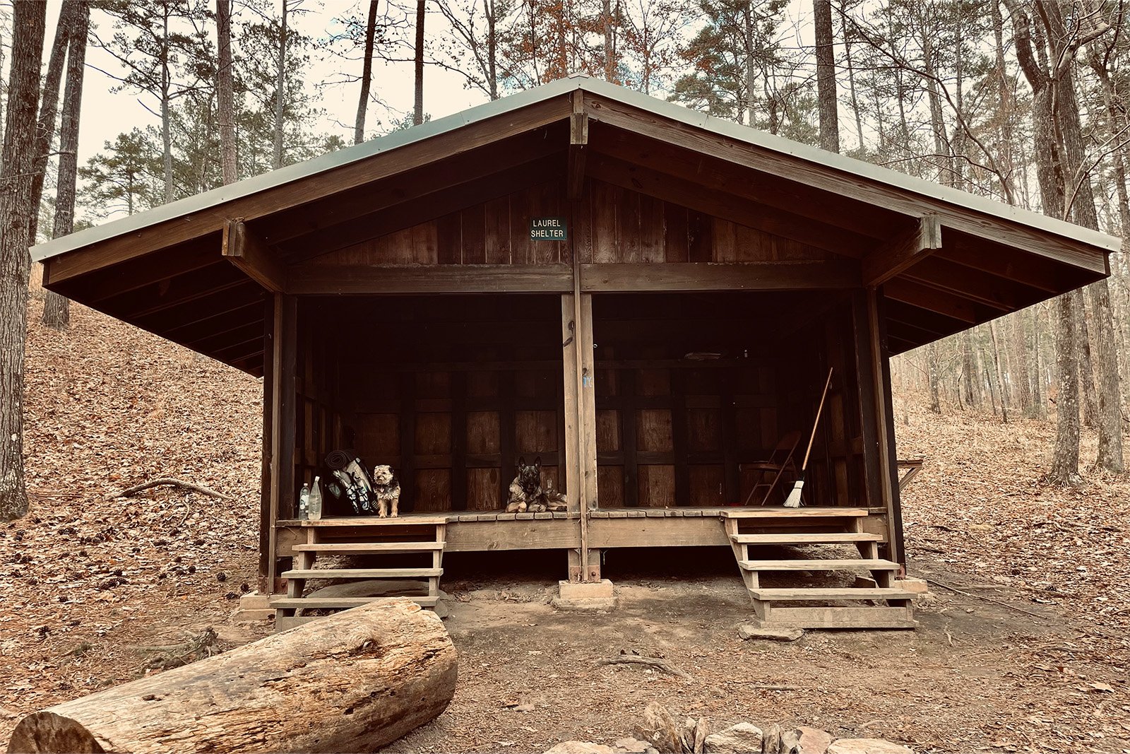 A wooden shelter is in the woods with a sign that says "laurel shelter" under the eaves. Two dogs are sitting inside the shelter next to a backpack.