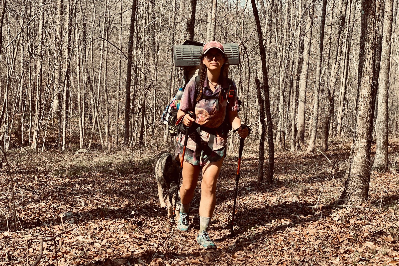 A person wearing a backpack is hiking through the trees with two dogs behind her.