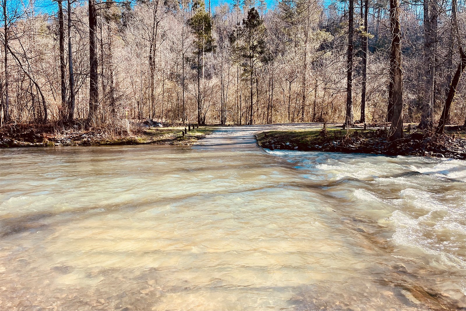 View looking across a wide, flat river with some rapids to the right. There is a road and some trees on the other side.