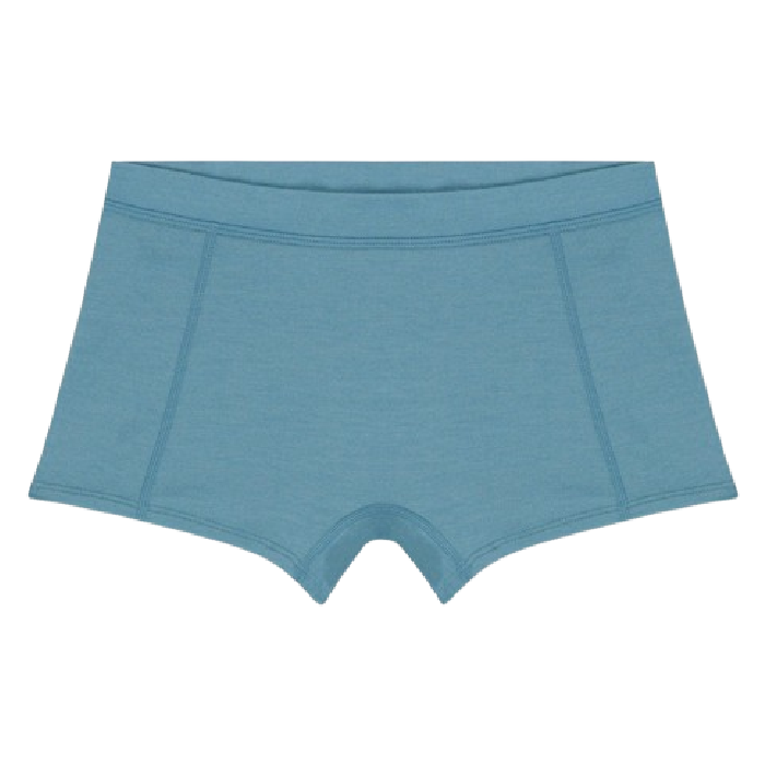 stock image of ridge merino boy shorts hiking underwear for women