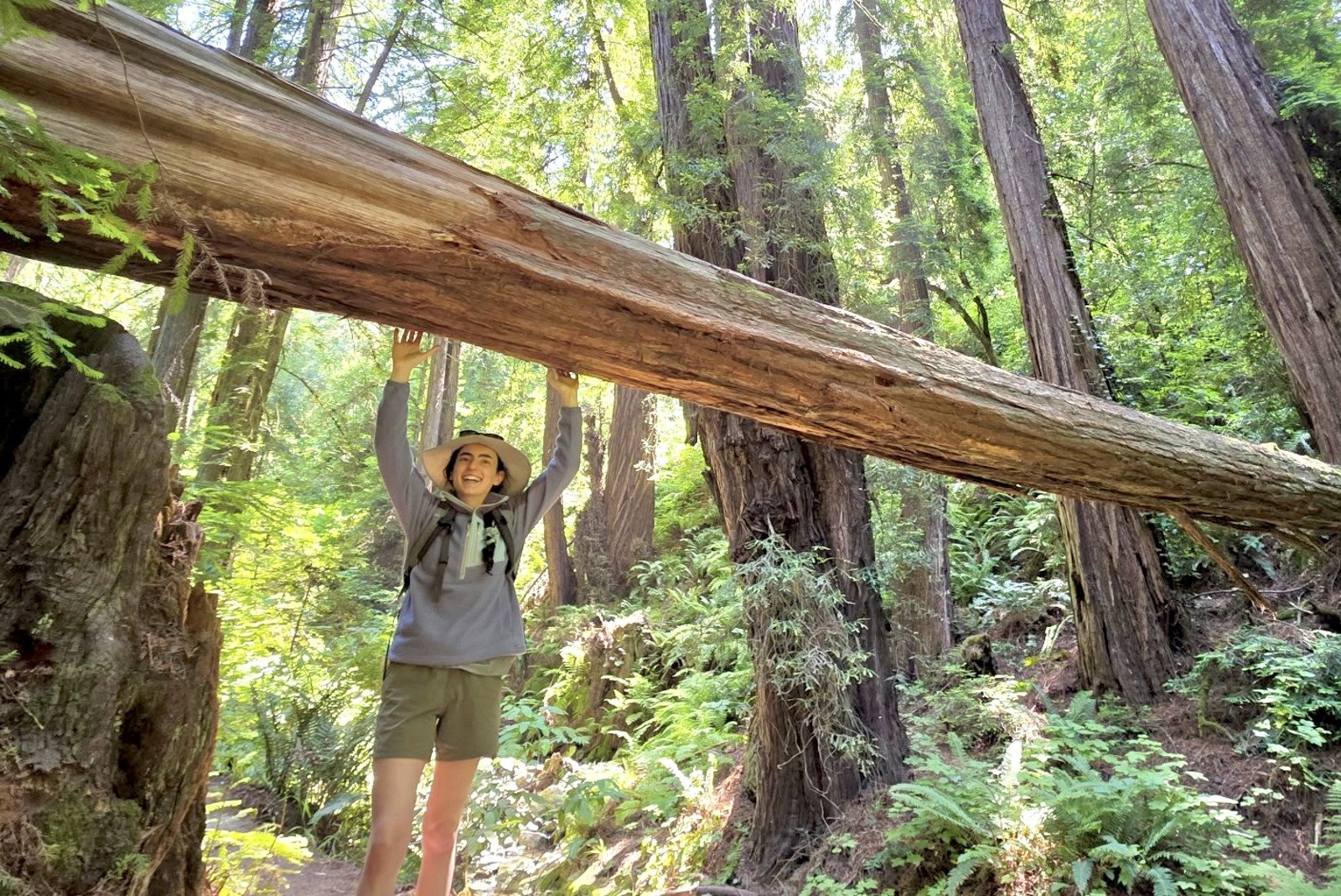 A woman reaches up to touch a fallen tree above her head as she hikes on a trail.