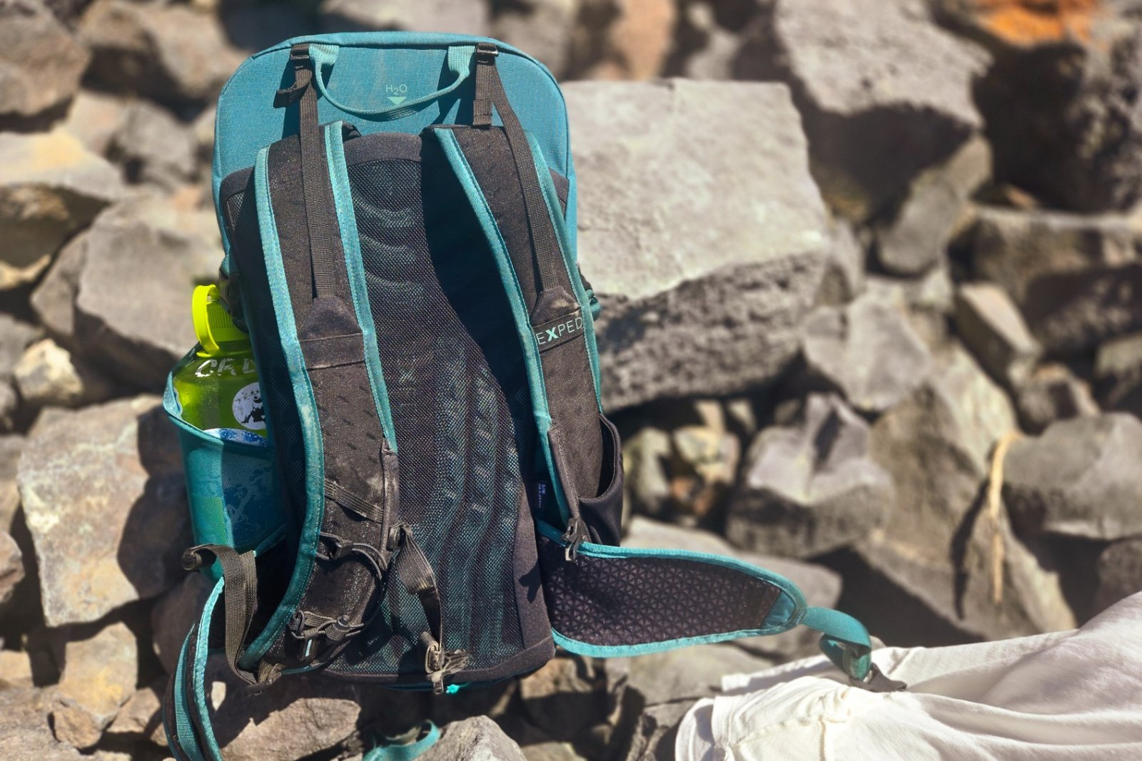 A close up photo showing the combination foam and mesh backpanel of the EXPED Skyline 20L daypack.