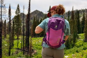 Person wearing purple Deuter Speedlite Pro 25 pack adjusts something as they face a mountainous, treed landscape.