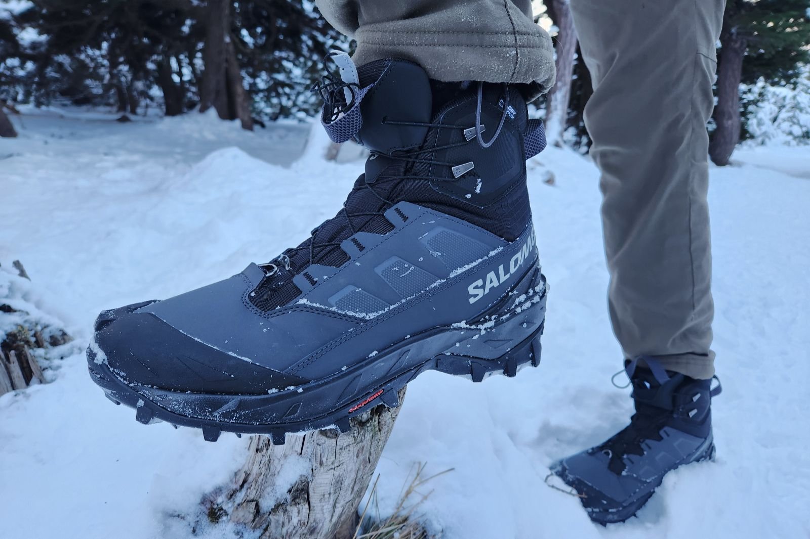 A closeup of winter boots standing on a tree stump.