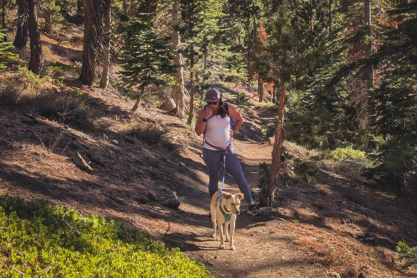 Pregnant person hiking with dog, taking a break to drink water.